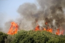 Izgorjelo 20 hektara niskog raslinja u Valturi